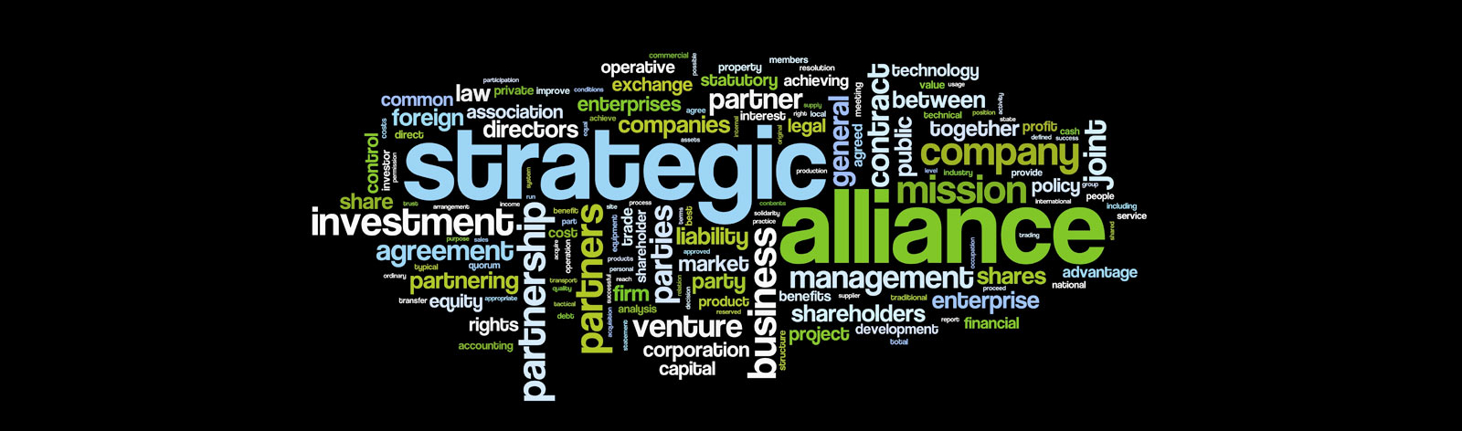 Fiber Network Alliance
