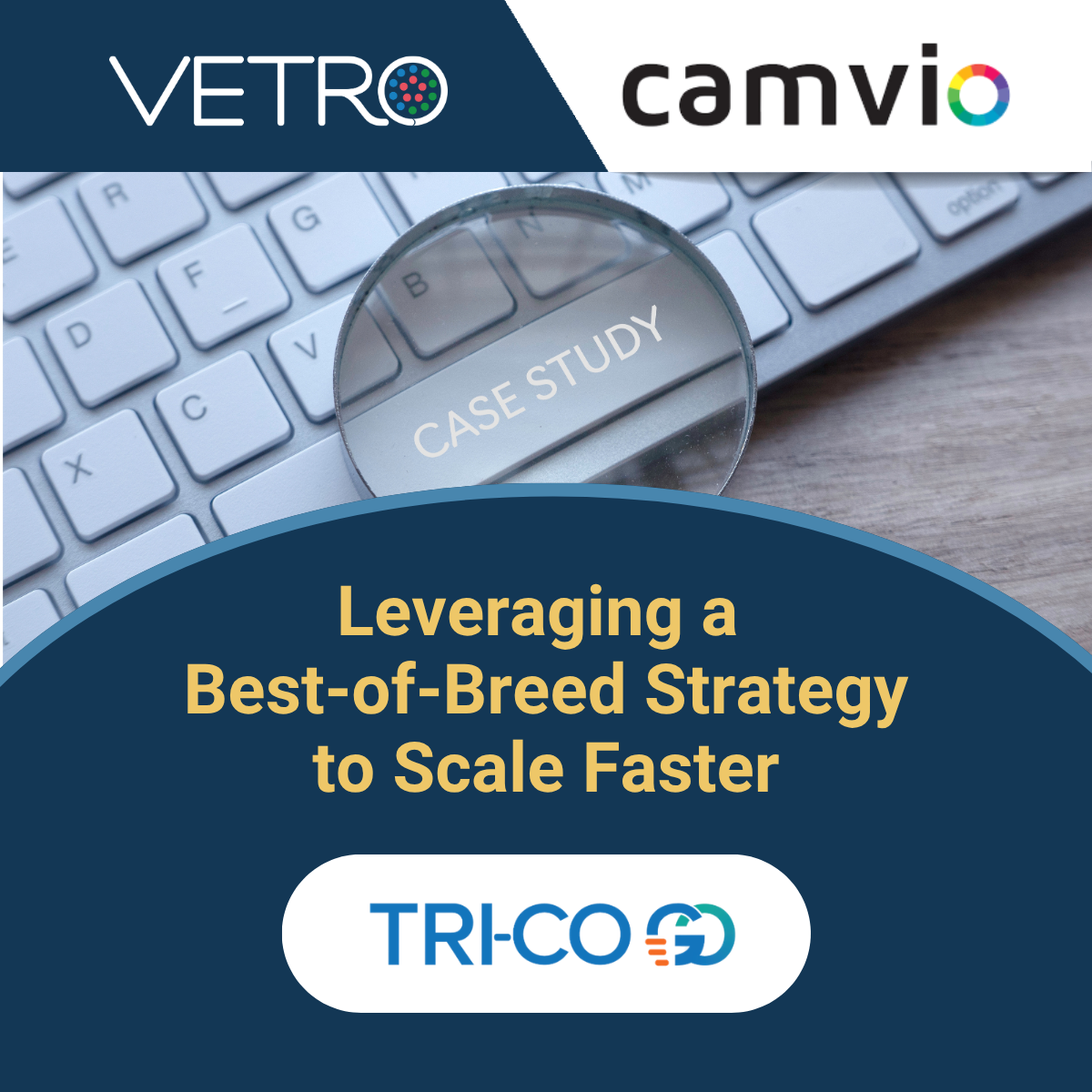 VETRO | Case Study: TriCoGo: Leveraging a Best-of-Breed Strategy to ...